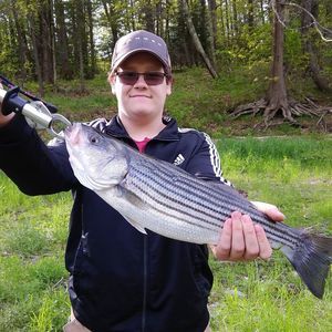 Meet your Posher, Kent